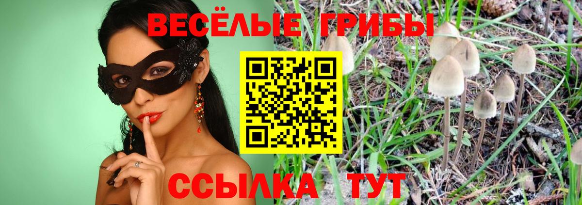 Псилоцибиновые грибы MAGIC MUSHROOMS  Галлюциногенные грибы Psilocybe  Усинск  Вход с VPN 